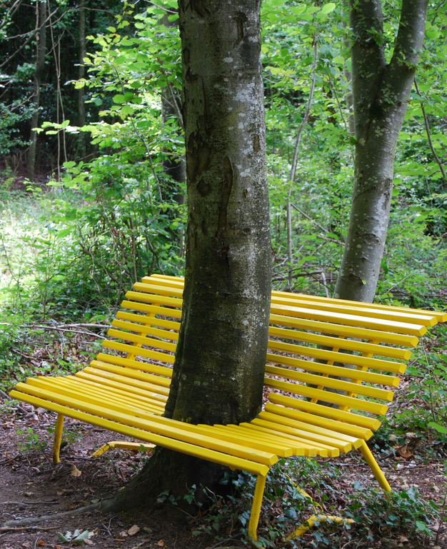 Vent des forêts